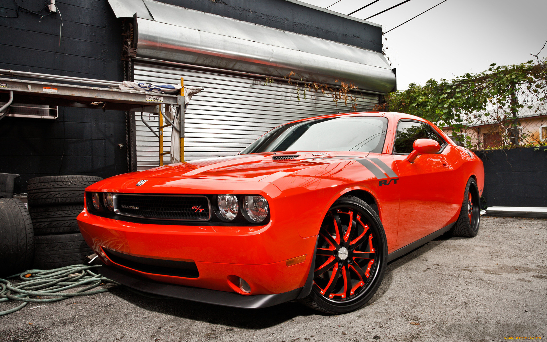 , dodge